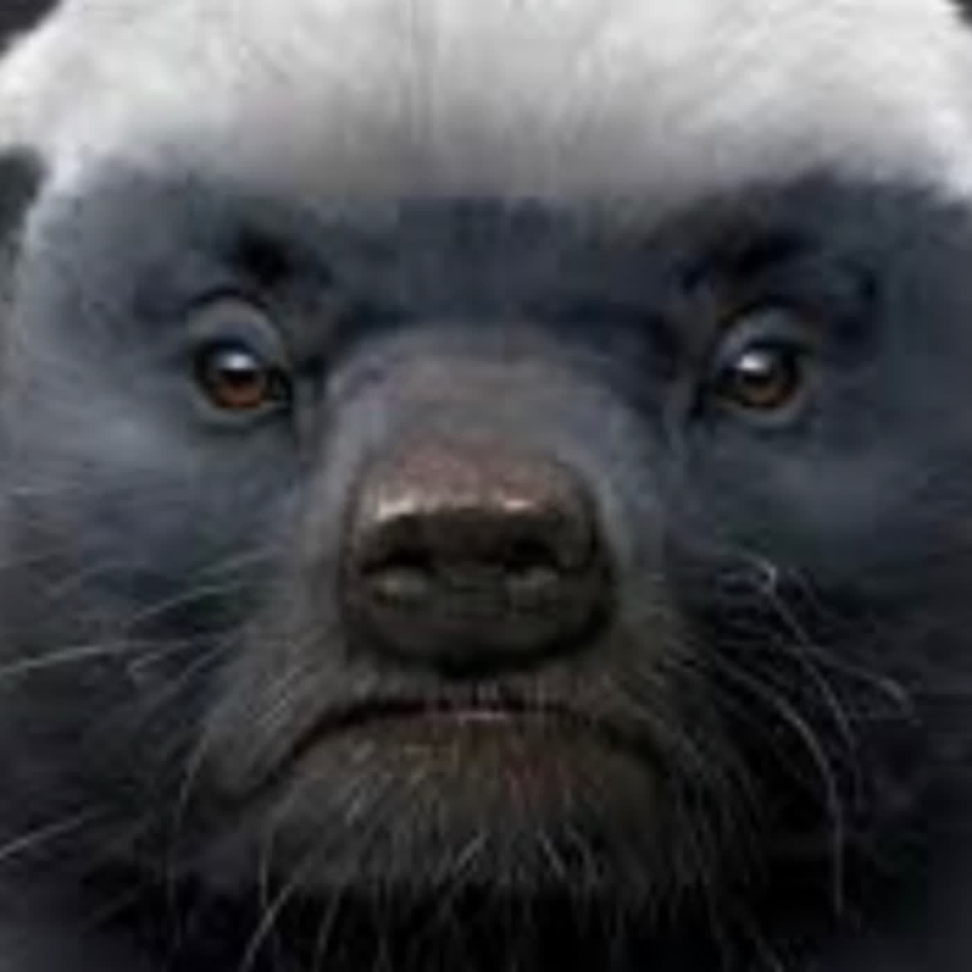 環境教育_暖化議題