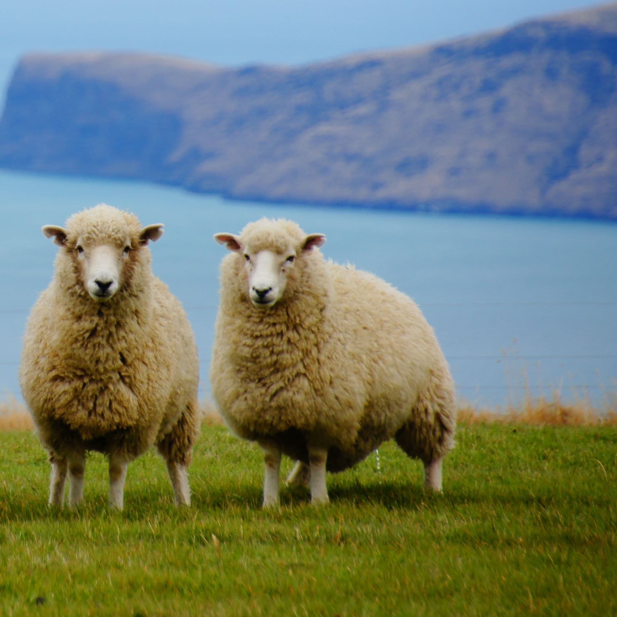 哲学するおっさん。