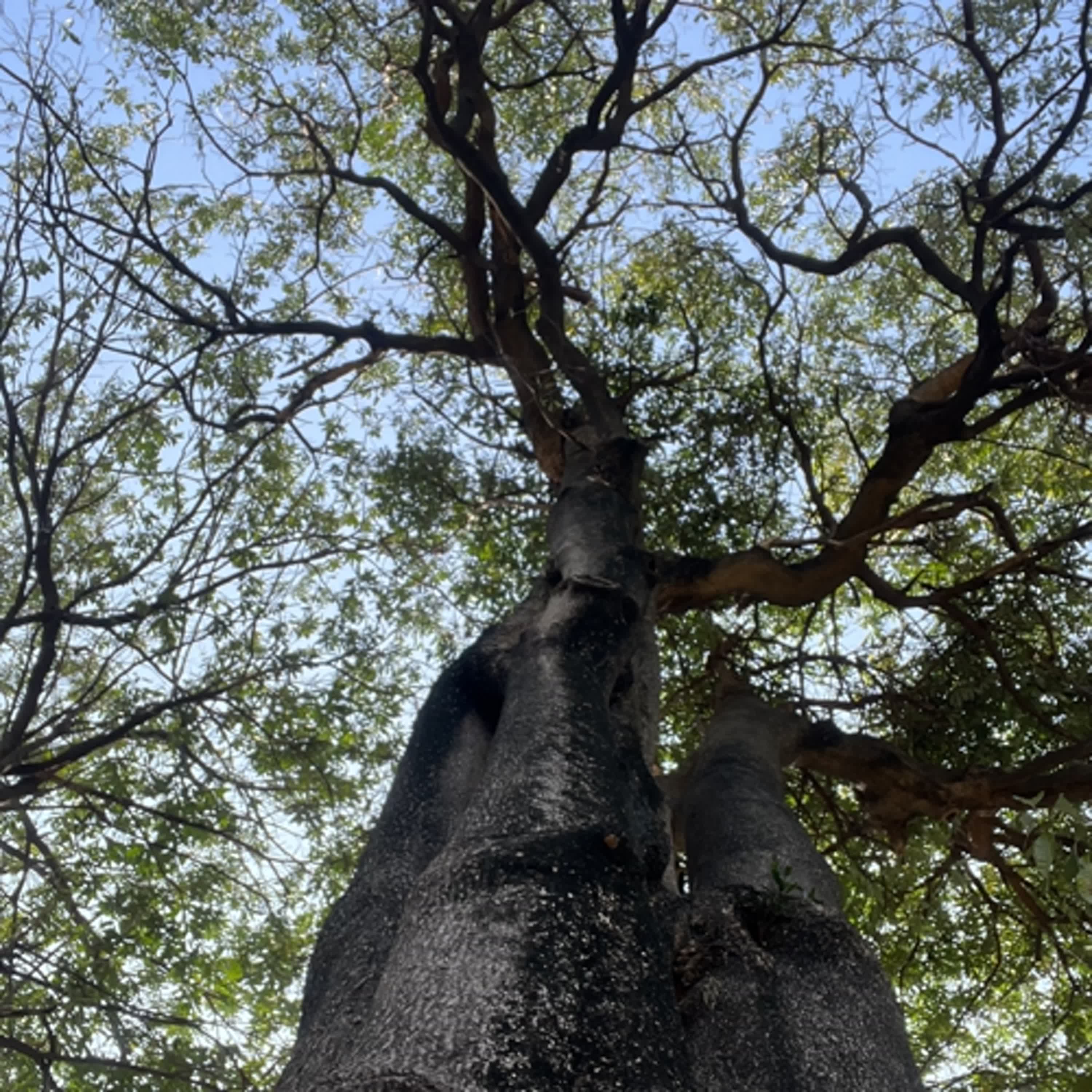 阿政先講臺灣故事