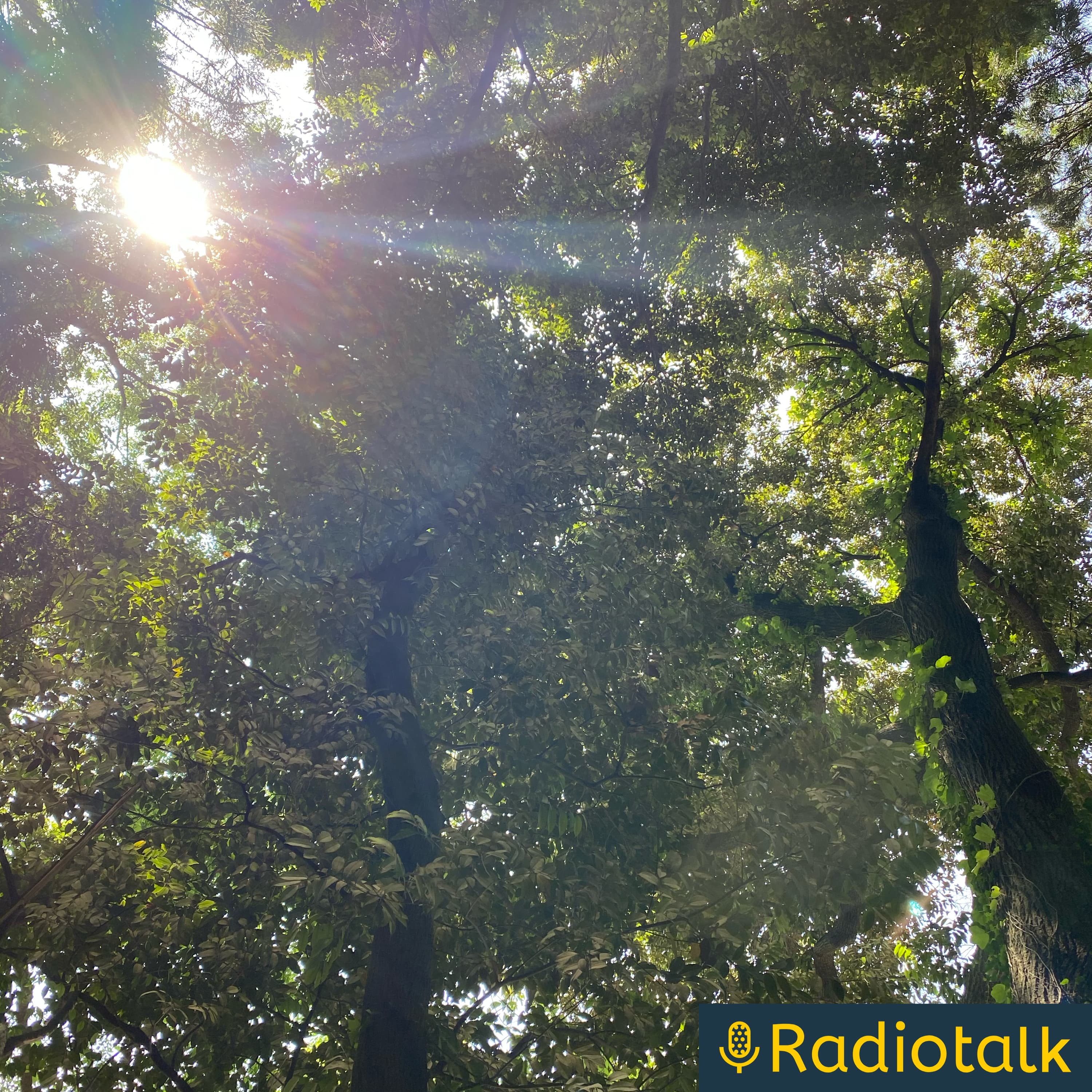 カッコーの森 ヨガとタロットの話