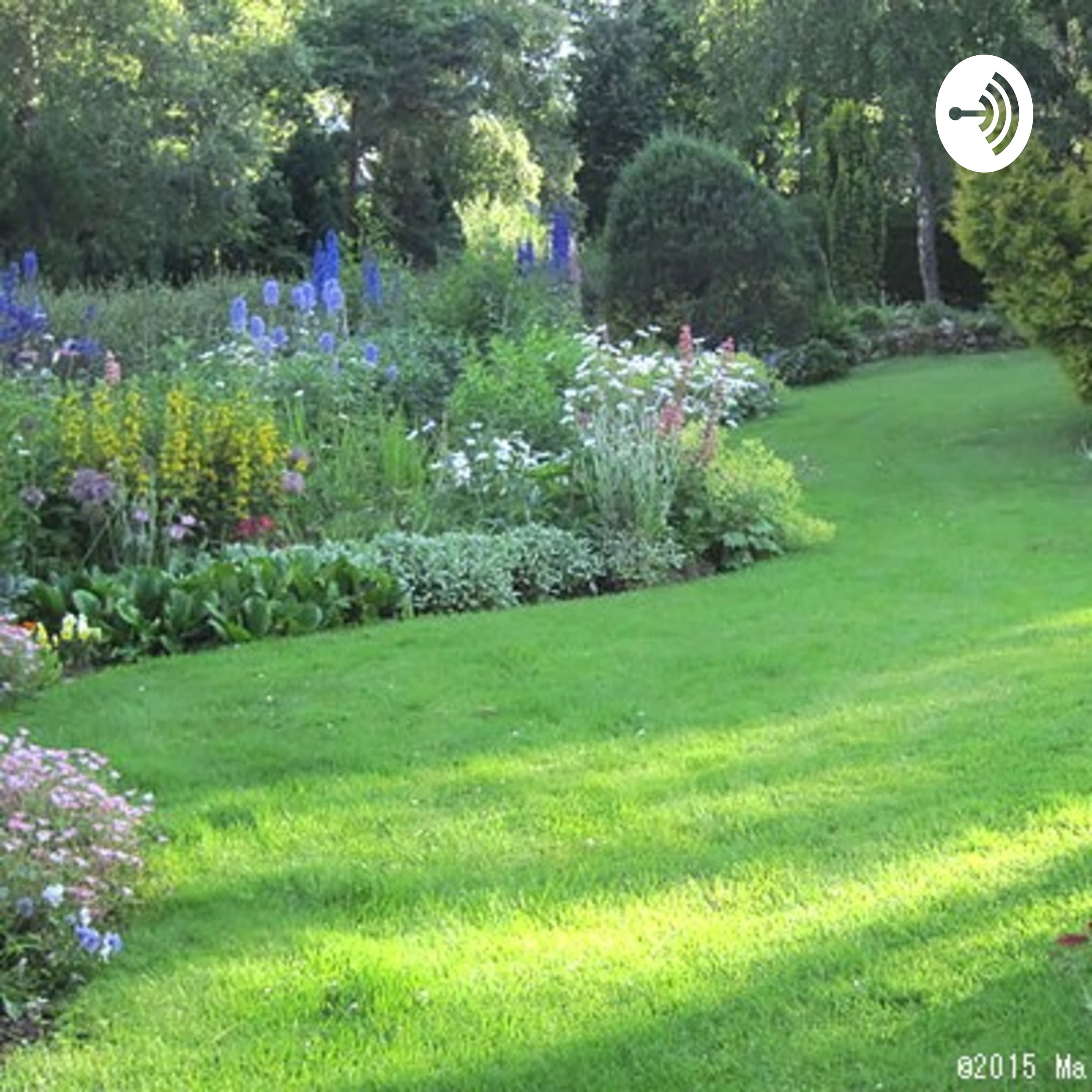 痛いの痛いのとんでけ!〜発達障害児ママの日常をおしゃべり〜
