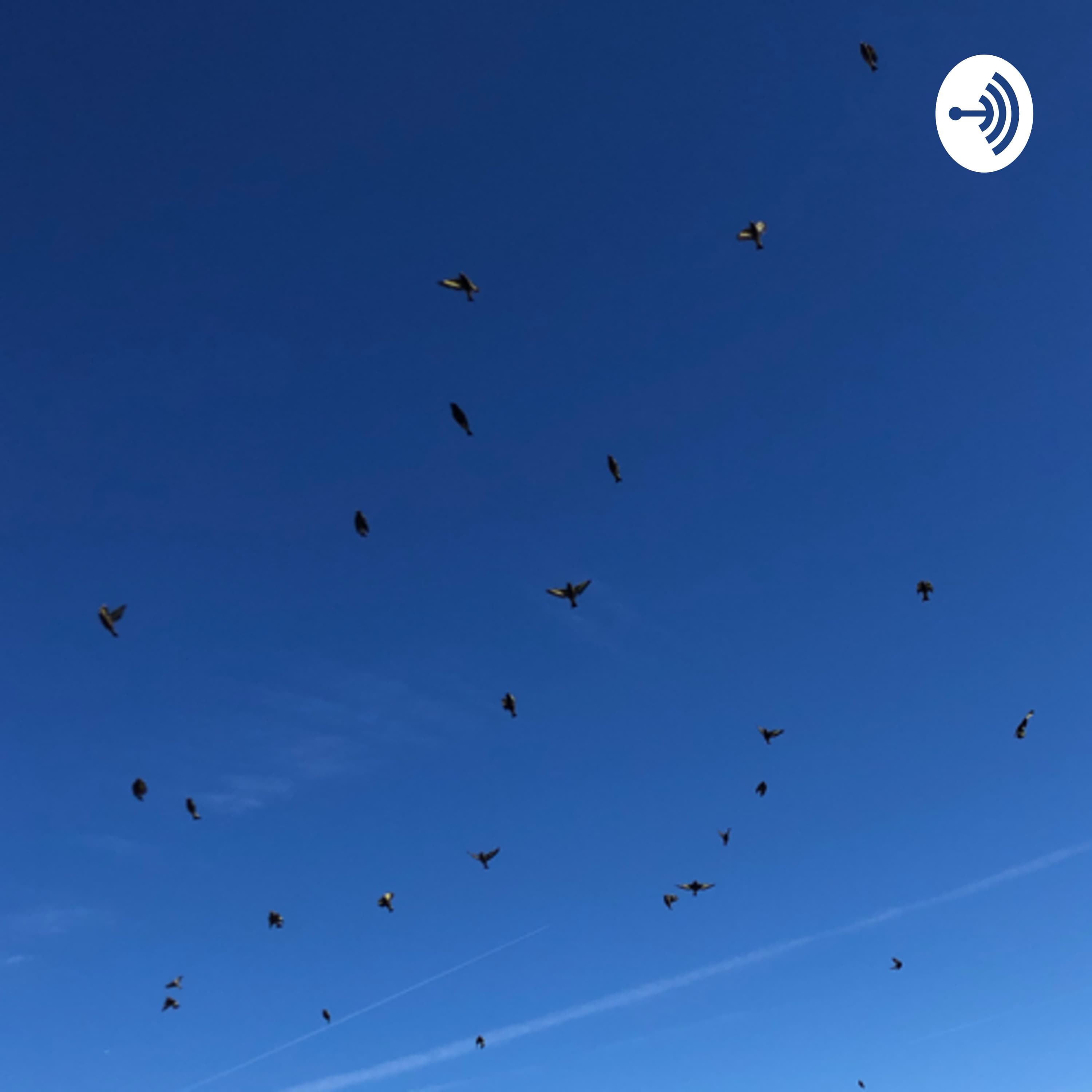 宮崎市の営業マンな日々