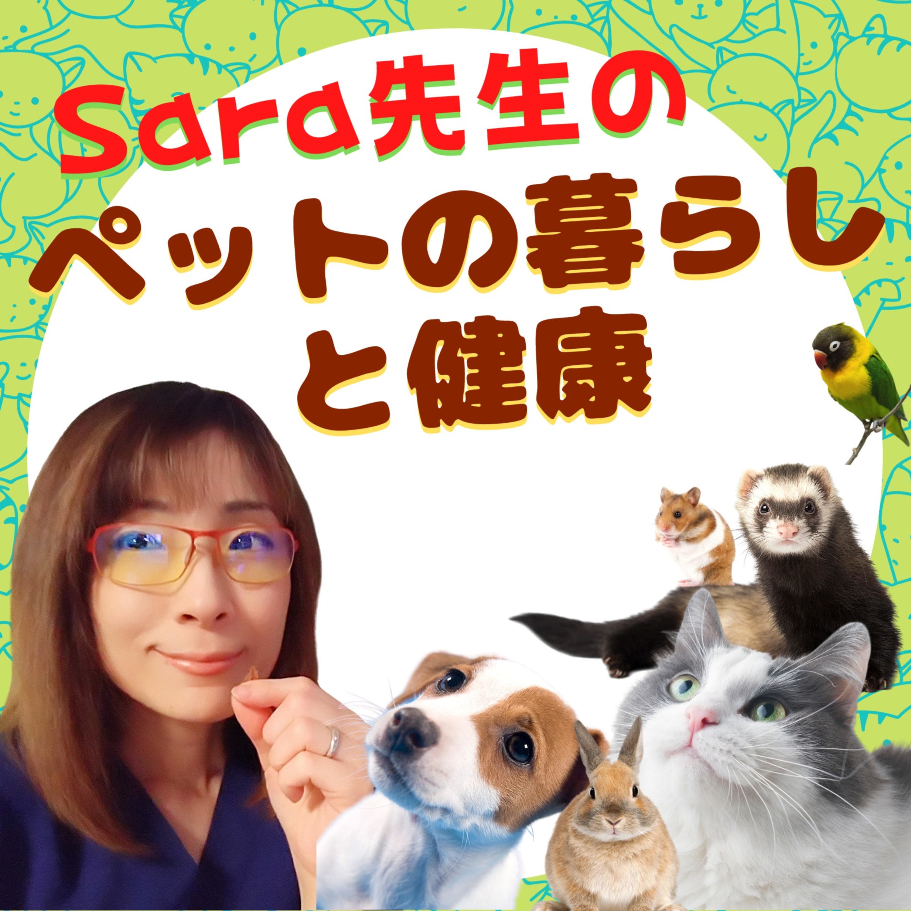 獣医Sara先生のペットの暮らしと健康.(Podcast with Holistic Vet Sara)
