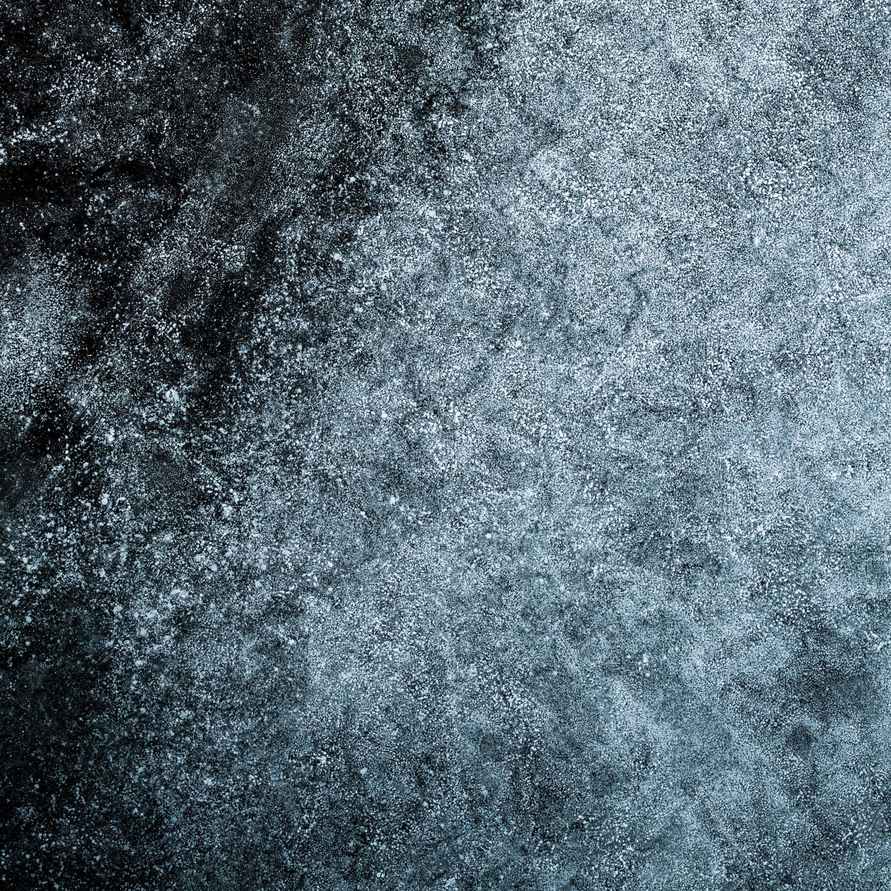 平凡大学生と「少しの教養」