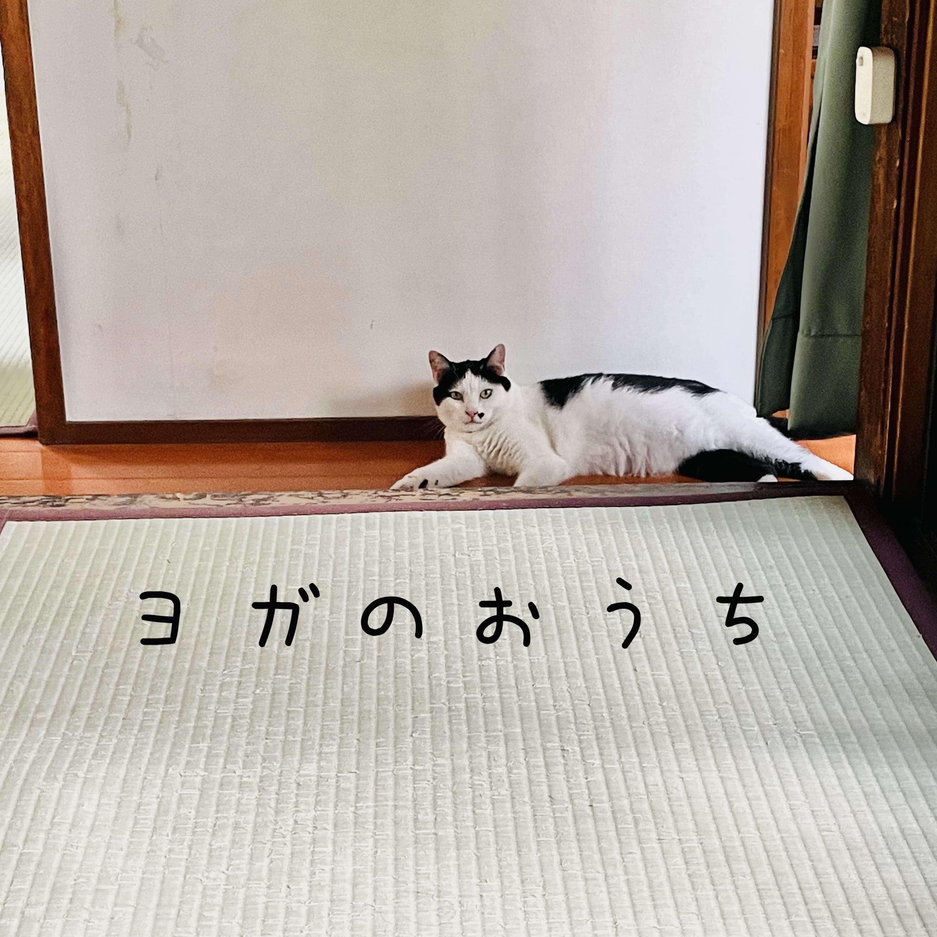 ヨガのおうち〜ヨガ講師による笑いと癒しの四方山話。