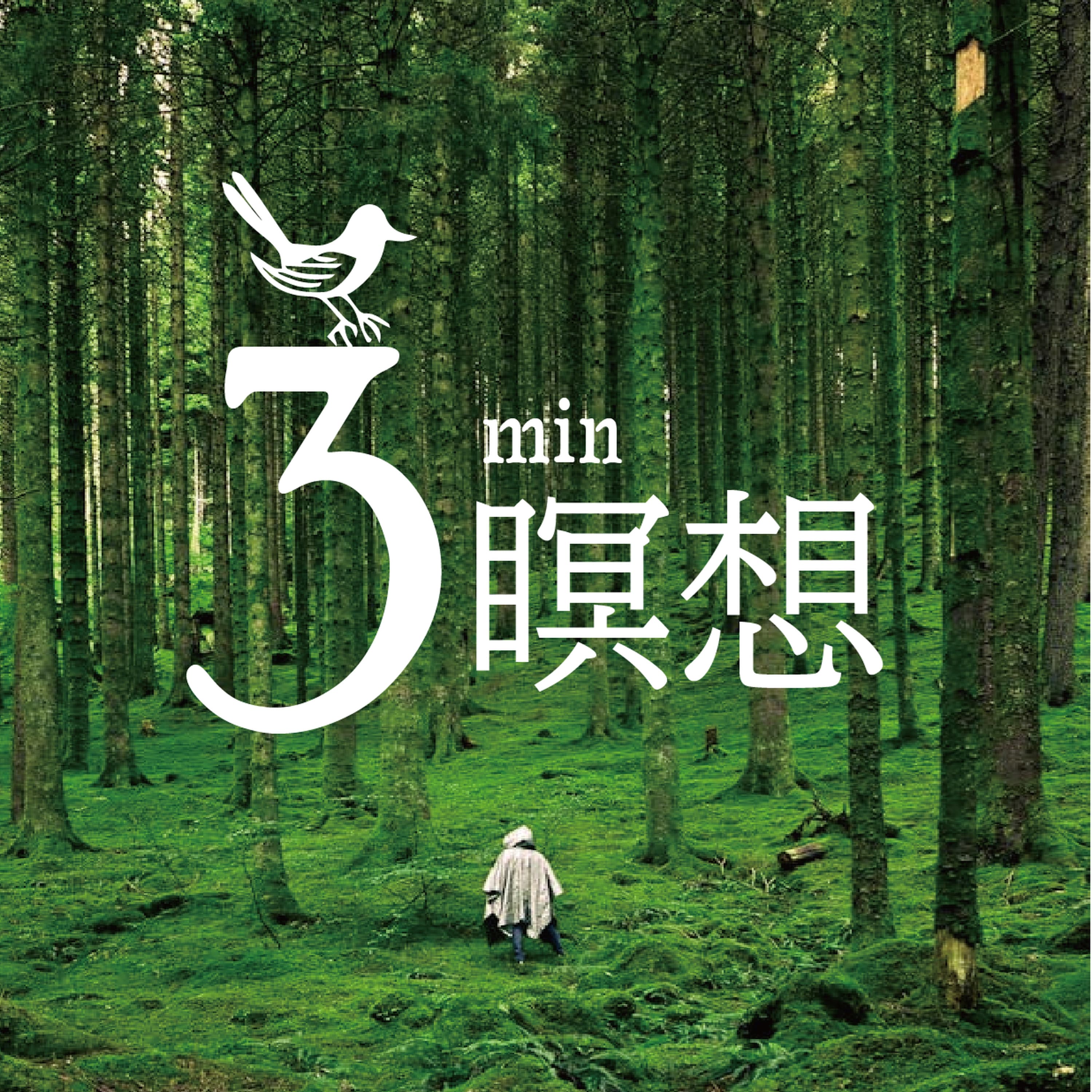 アサンガの森|3分瞑想