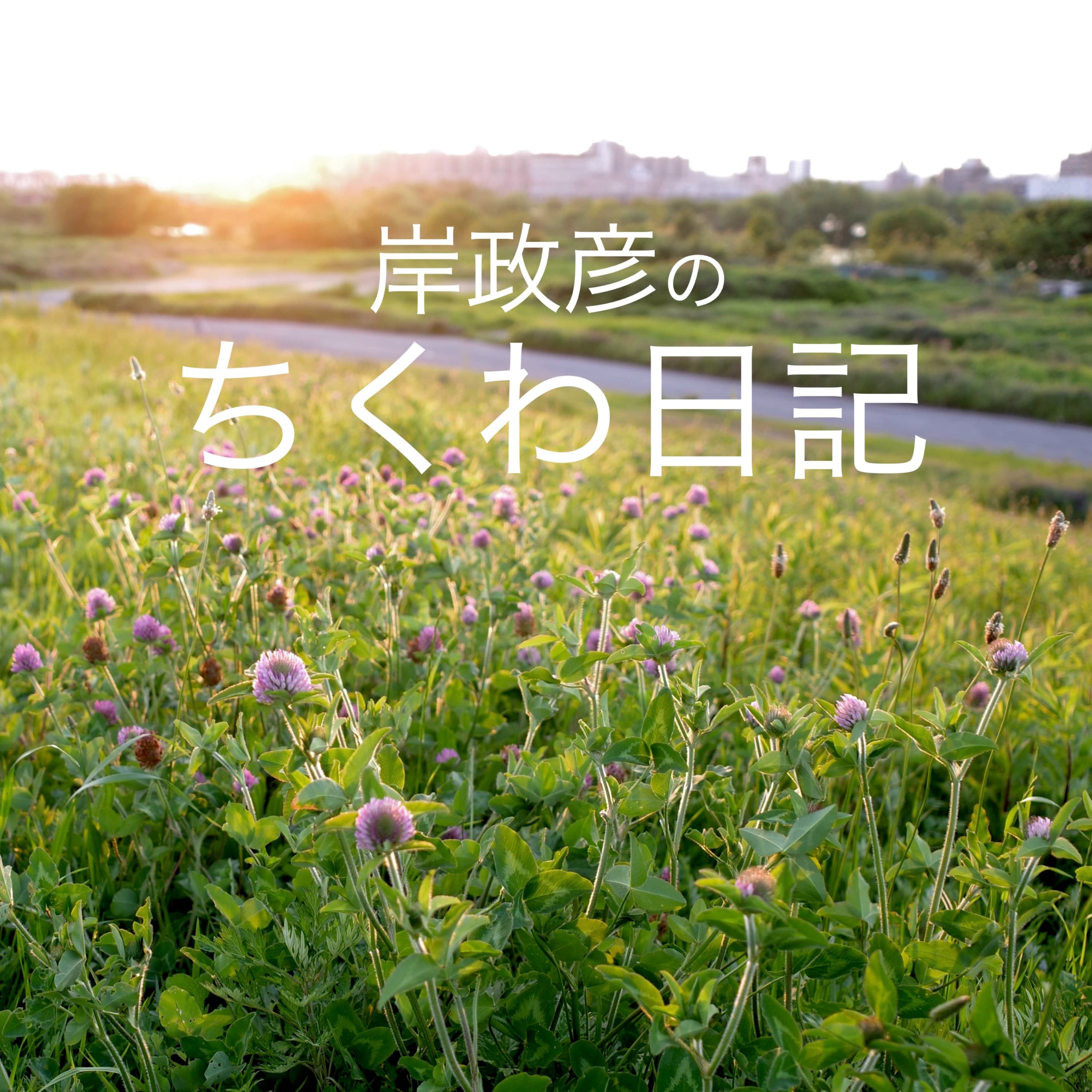 岸政彦のちくわ日記