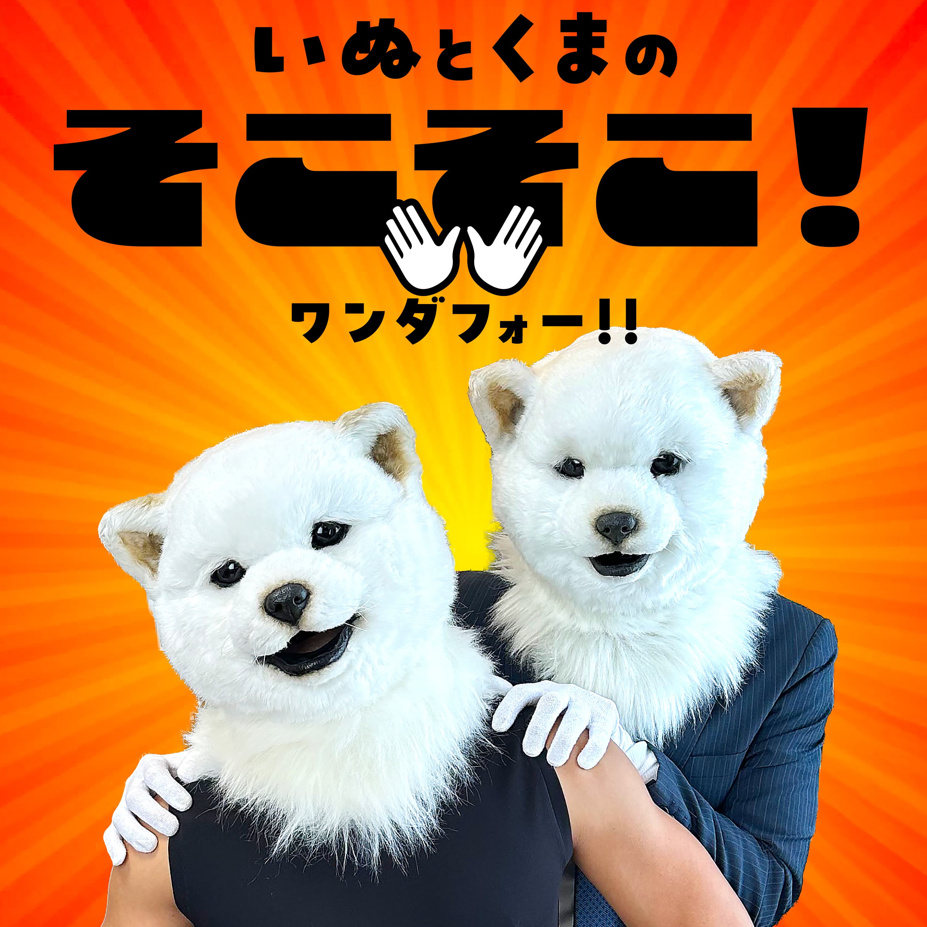 "好き"を話す番組 いぬとくまの『そこそこ! ワンダフォー!!』